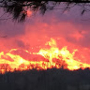 Meet your Posher, Paul